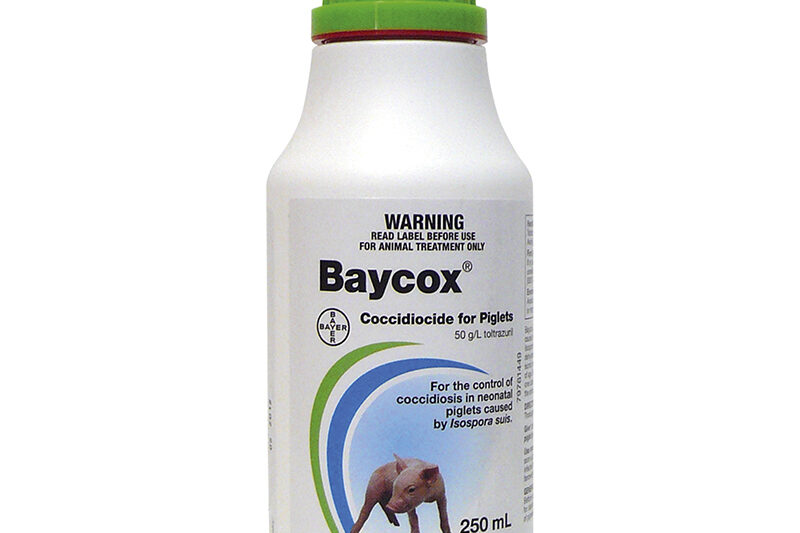 Baycox Piglet and Cattle 250ml