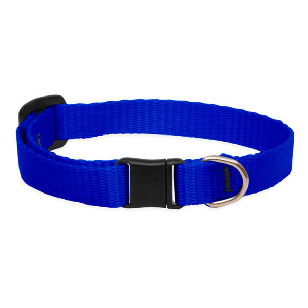 Lupine Blue Safety Cat Collar