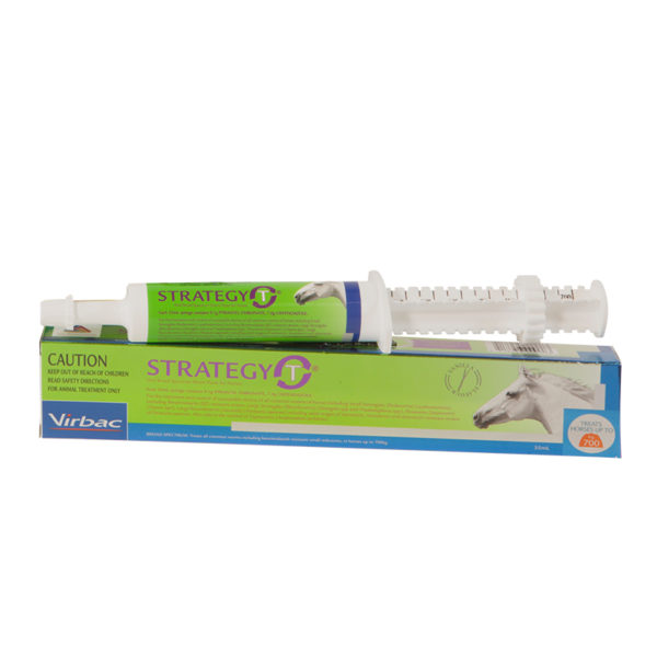 Strategy-T Paste 35ml Syringe